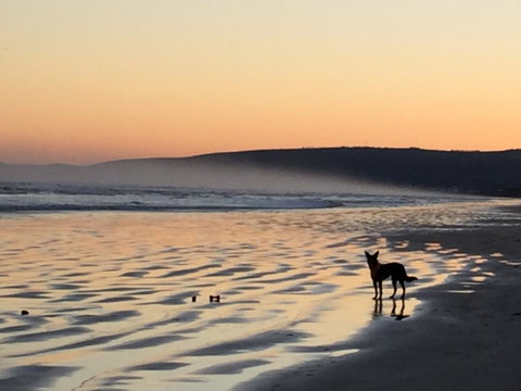 Goolwa Marinerâ€™s Cottage - Free Wifi And Pet Friendly - Centrally Located In Historic Region - Foster Accommodation 35