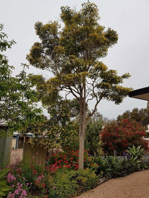 Sinclair Cottage - Foster Accommodation 25