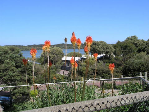 Lakeside Tourist Park - Foster Accommodation 3