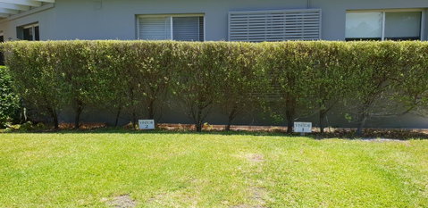 2 Austinmer Studio - Foster Accommodation 12