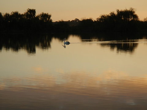 Washpool Retreat - Foster Accommodation 25