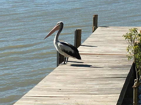 Washpool Retreat - Foster Accommodation 20