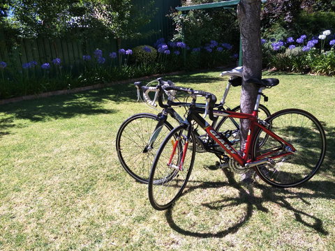 Fernweh Guesthouse - Foster Accommodation 25