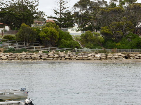 Island Motel Kingscote - Foster Accommodation 4