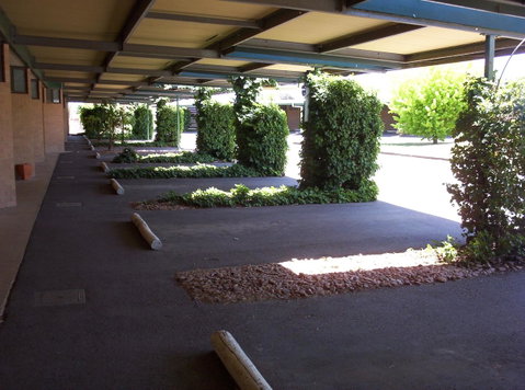 The Wine Vine Hotel - Foster Accommodation 17