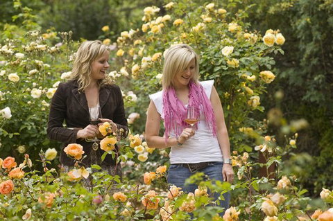 The Lyndoch Motel - Foster Accommodation 7