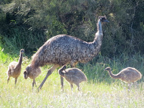 Edge Of Innes - Foster Accommodation 13