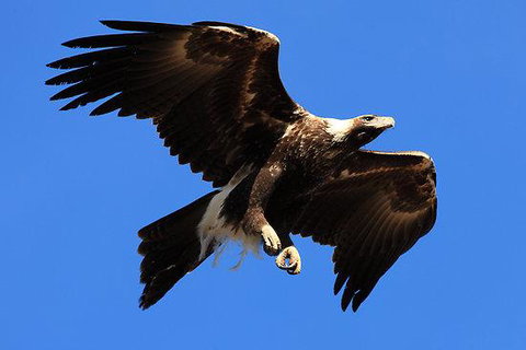 Eagles Range - Foster Accommodation 16