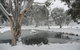 CHILL-OUT - Thredbo - thumb 38