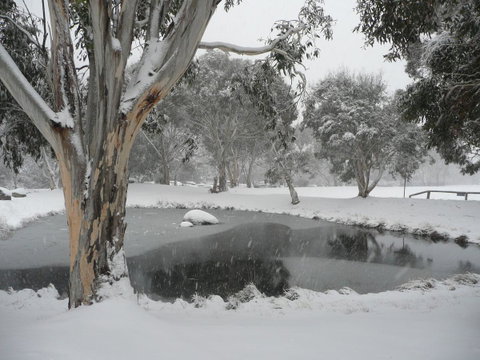 CHILL-OUT - Thredbo - Foster Accommodation 38