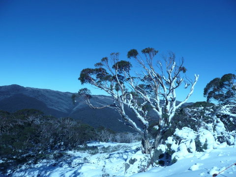 CHILL-OUT - Thredbo - Foster Accommodation 33