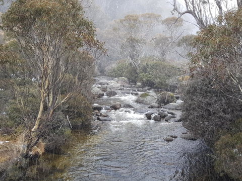 CHILL-OUT - Thredbo - Foster Accommodation 23