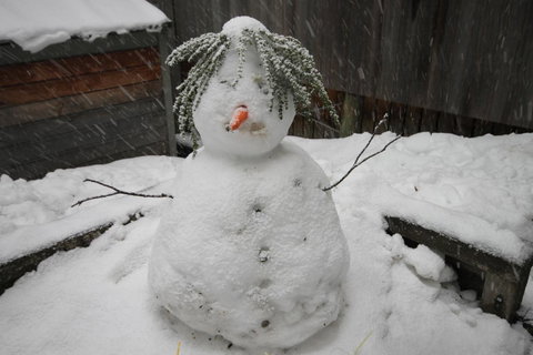CHILL-OUT - Thredbo - Foster Accommodation 34