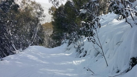 CHILL-OUT - Thredbo - Foster Accommodation 17