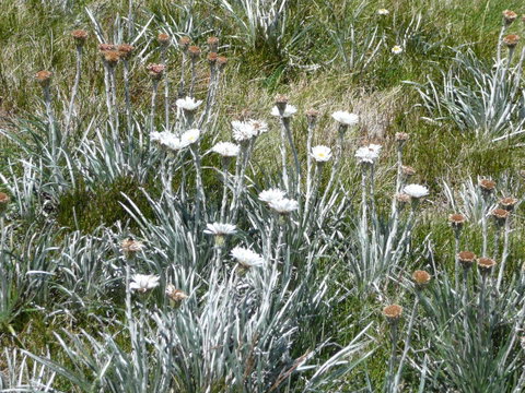 CHILL-OUT - Thredbo - Foster Accommodation 36