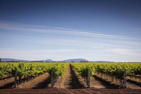 Quest Griffith - Foster Accommodation 14