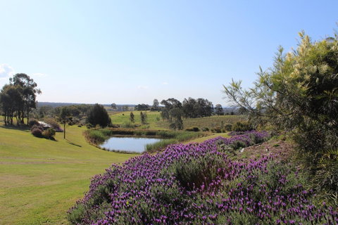 Beltana Villas - Foster Accommodation 7
