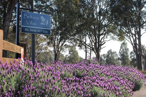 Beltana Villas - Foster Accommodation 10