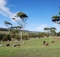 Lisieux Farm Bed and Breakfast - Foster Accommodation