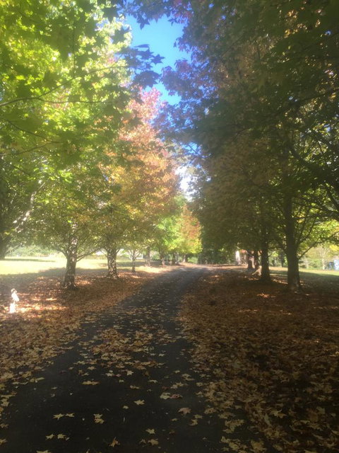 A Peaceful Cabin In The Country - Foster Accommodation 0