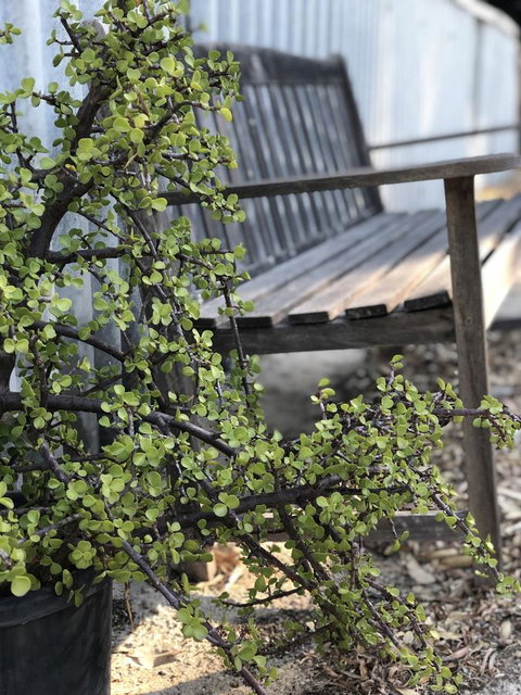 White Sands - Foster Accommodation 5