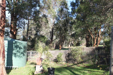 Christina's@Denmark - Foster Accommodation 4