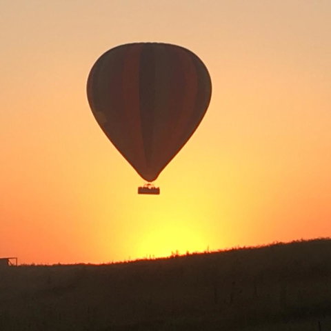 Grapevines Boutique Accommodation - Foster Accommodation 13