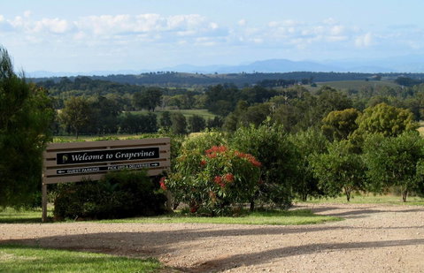 Grapevines Boutique Accommodation - Foster Accommodation 15