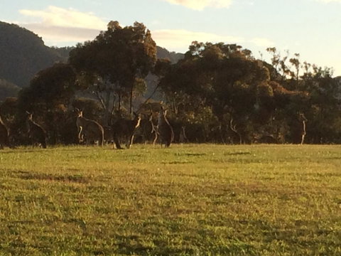 Grapevines Boutique Accommodation - Foster Accommodation 26