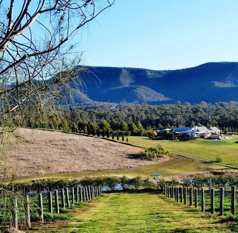 Grapevines Boutique Accommodation - Foster Accommodation 5