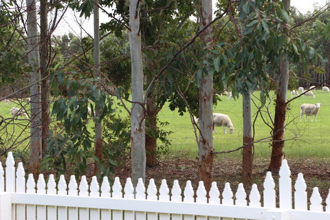 Sapphire Chalets, Augusta - Foster Accommodation 9