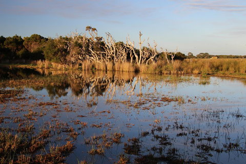 Sapphire Chalets, Augusta - Foster Accommodation 13