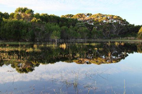 Sapphire Chalets, Augusta - Foster Accommodation 14