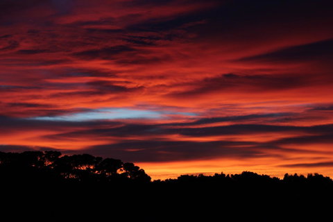 Sapphire Chalets, Augusta - Foster Accommodation 15