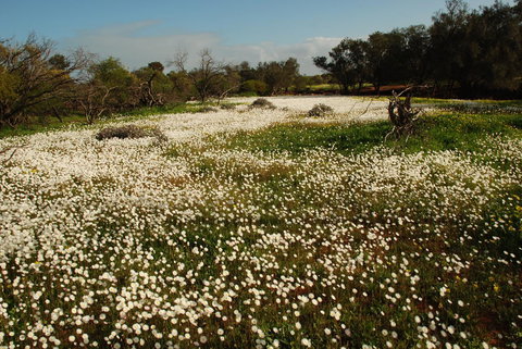 Kalbarri Seafront Villas - Foster Accommodation 35