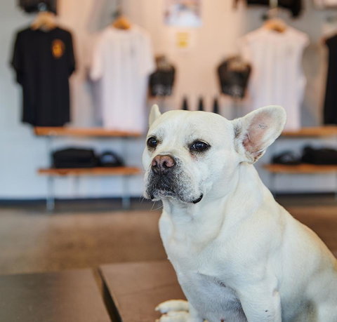 Nomads Byron Bay Backpackers - Foster Accommodation 24