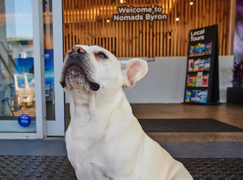 Nomads Byron Bay Backpackers - Foster Accommodation 22