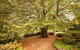 Nesuto Leura Gardens (formerly Waldorf Leura Gardens Resort) - thumb 1