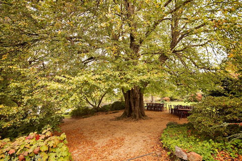 Nesuto Leura Gardens (formerly Waldorf Leura Gardens Resort) - Foster Accommodation 1