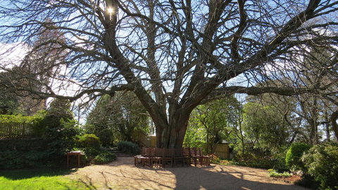 Nesuto Leura Gardens (formerly Waldorf Leura Gardens Resort) - Foster Accommodation 3