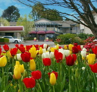 Nesuto Leura Gardens formerly Waldorf Leura Gardens Resort - Foster Accommodation