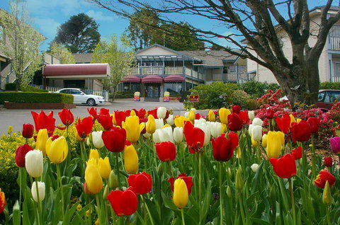 Nesuto Leura Gardens (formerly Waldorf Leura Gardens Resort) - Foster Accommodation 0