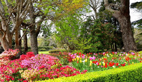 Nesuto Leura Gardens (formerly Waldorf Leura Gardens Resort) - Foster Accommodation 8