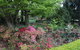 Nesuto Leura Gardens (formerly Waldorf Leura Gardens Resort) - thumb 2