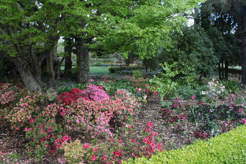 Nesuto Leura Gardens (formerly Waldorf Leura Gardens Resort) - Foster Accommodation 2