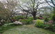 Nesuto Leura Gardens (formerly Waldorf Leura Gardens Resort) - thumb 4