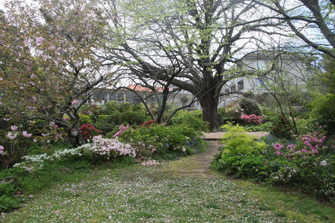 Nesuto Leura Gardens (formerly Waldorf Leura Gardens Resort) - Foster Accommodation 4