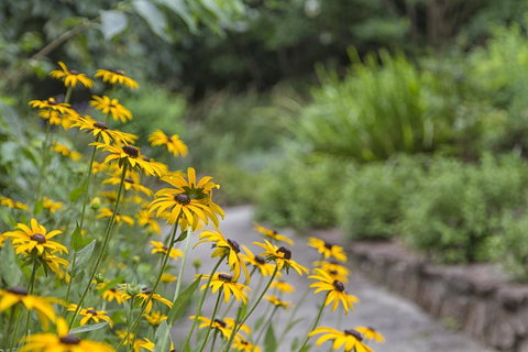 Nesuto Leura Gardens (formerly Waldorf Leura Gardens Resort) - Foster Accommodation 16