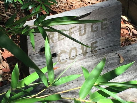 Refuge Cove On Pittwater - Foster Accommodation 12