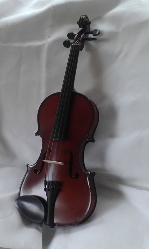 182 Anson Street - Foster Accommodation 2